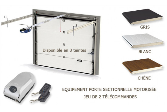 Garage Atelier Leucate A 44mm Porte Sectionnelle - 22.15m² intérieur